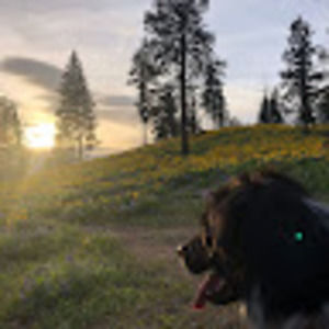 Meet your Posher, Riley